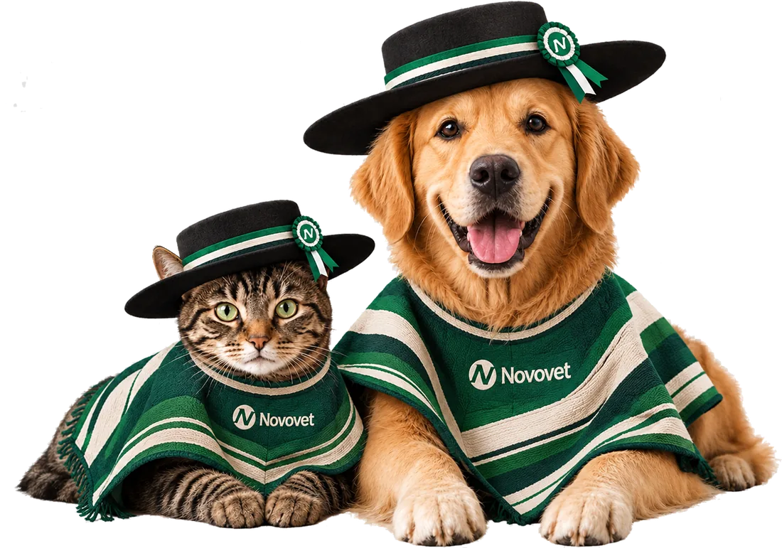 Un perro y un gato con sombrero de huaso y poncho Novovet