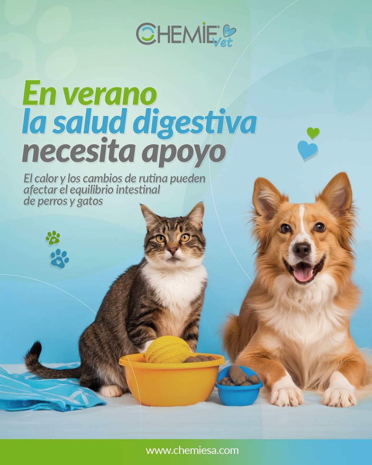 Chemie Vet: en verano la salud digestiva de perros y gatos necesita apoyo